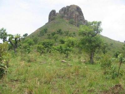 Mar 27, NGOKETUNJIA DIVISION, N. W. Region of Cameroon